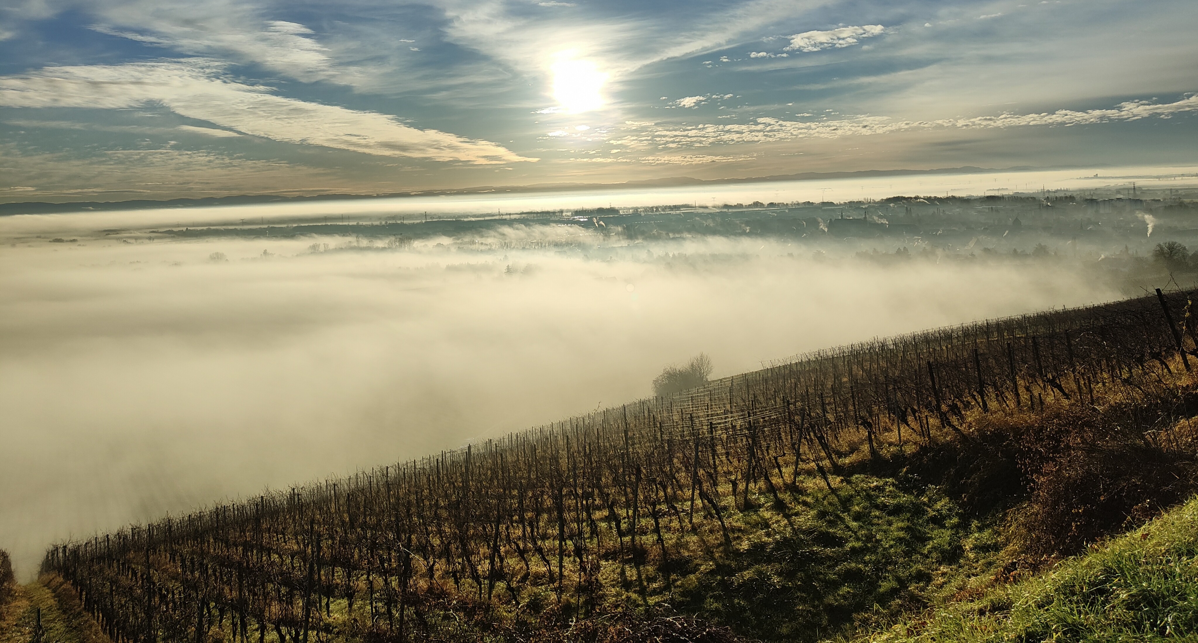 Domaine Boehler
